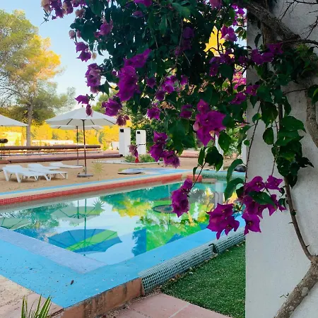 Panzió Ibiza Paradise